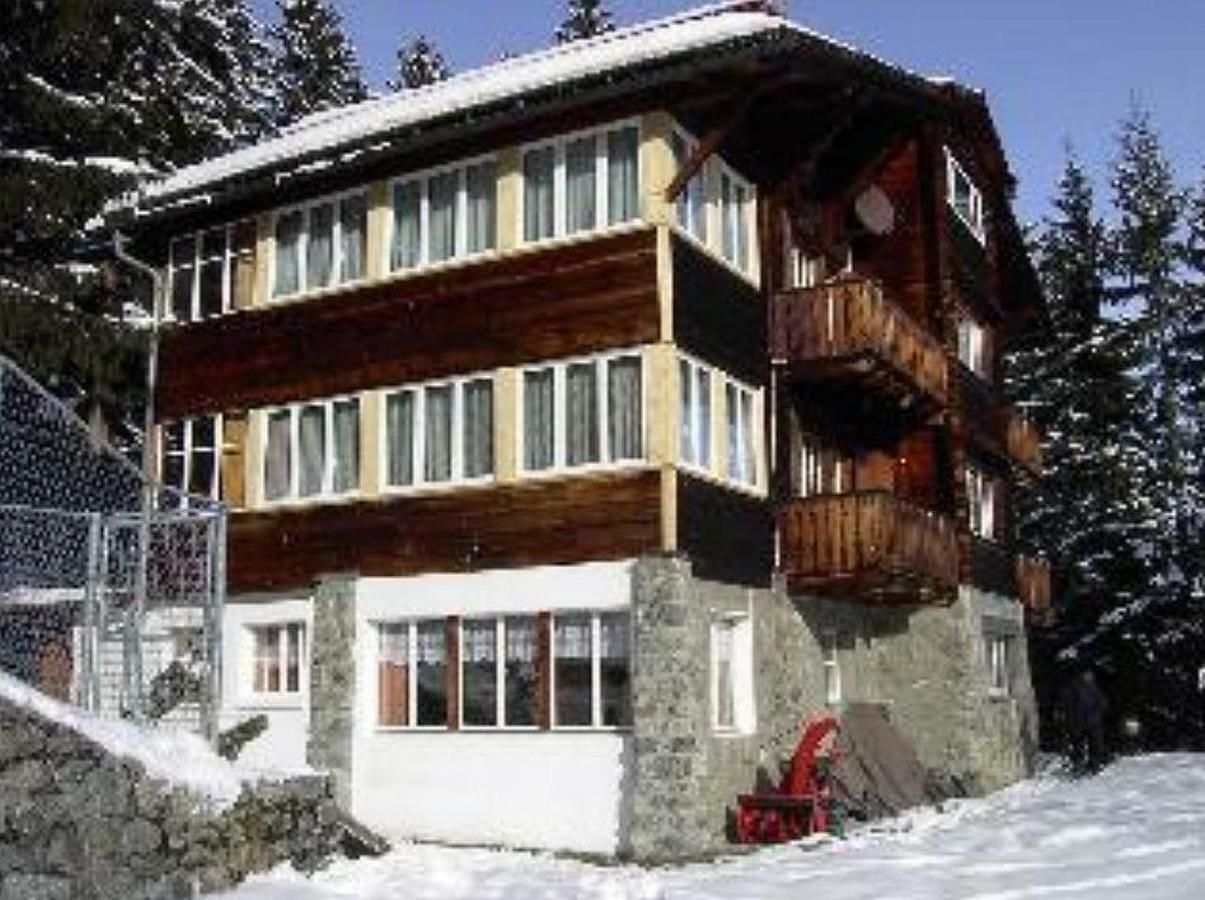 Chalet Suveran Apartment Arosa Bagian luar foto